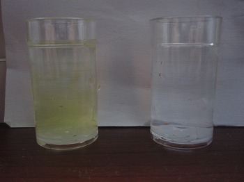 水道水（左）　カルキ抜き済み水道水（右）