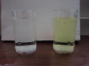 浄水のみ(左）　水道水(右)