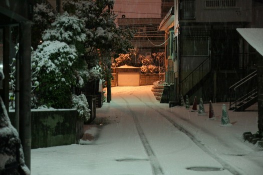 初雪の夜