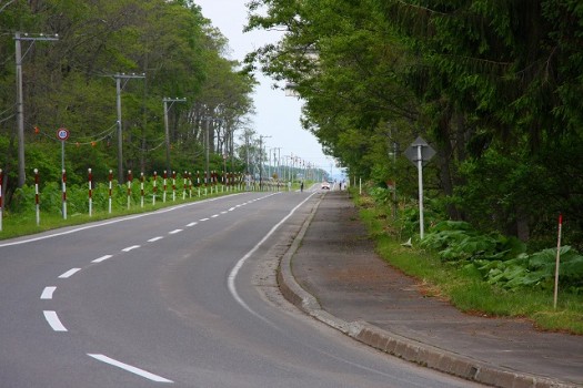 奥が10km関門、手前カーブ先が竜宮台折り返し方面